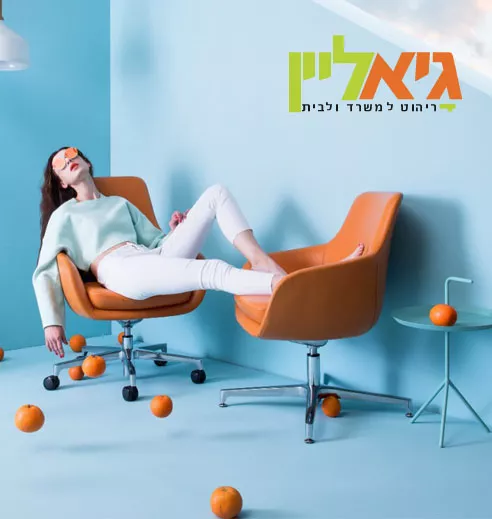 יבואן ריהוט משרדי, גיא ליין